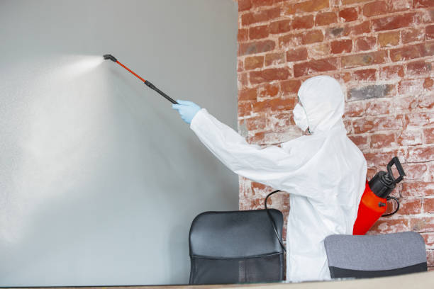 Mold Remediation for Rental Properties in Bear Creek, FL