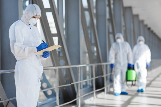 Best Mold Odor Removal Services  in Bear Creek, FL