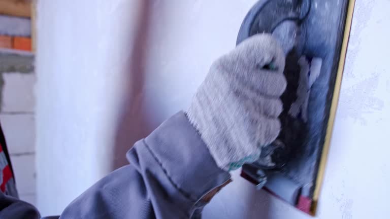 Best Mold Damage Restoration  in Bear Creek, FL