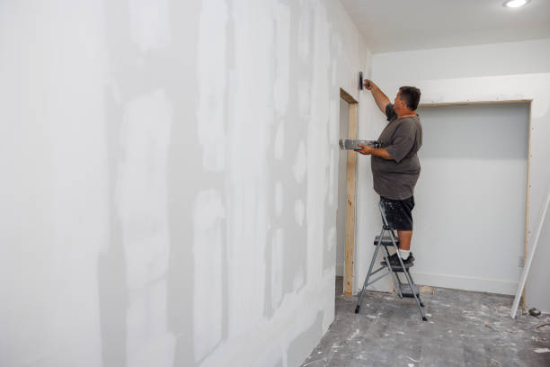 Best Basement Mold Removal  in Bear Creek, FL
