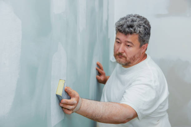 Trusted Bear Creek, FL Mold Removal Experts